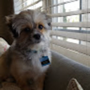 Meet your Posher, Jae